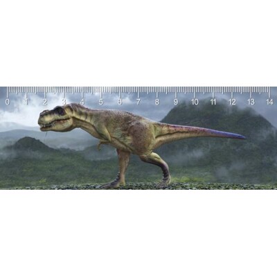 3D ruler DEEP T-rex walk
