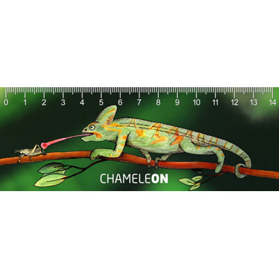 3D ruler DEEP Chamele ON/OFF
