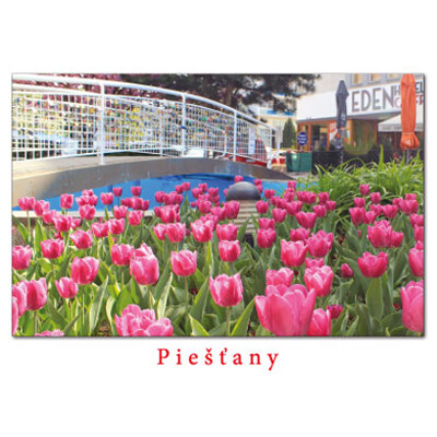 postcard Piešťany L (flowers)