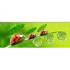 3D ruler DEEP Rainy day (Ladybugs)