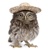 3D postcard Owl with hat