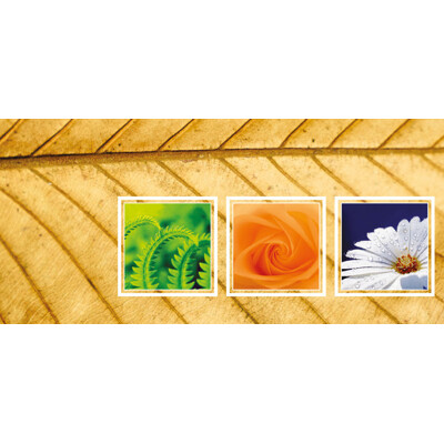 Greeting opening card (natural motif, squares)