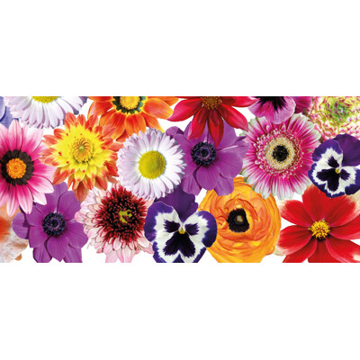 Greeting opening card (flowers)