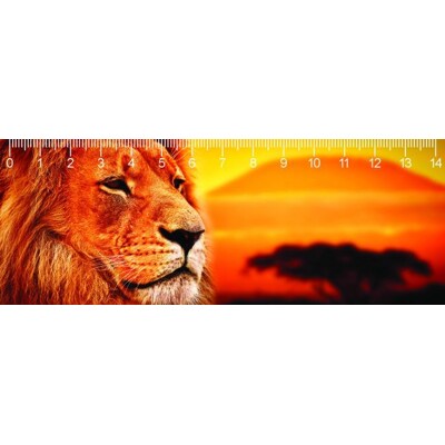 3D ruler DEEP Kilimanjaro lion