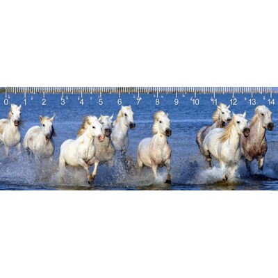 3D ruler DEEP Camarque horses