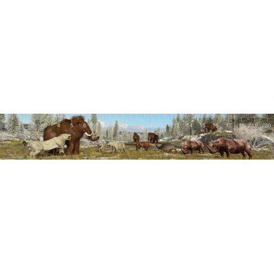 3D ruler Ice Age