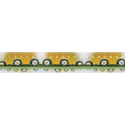 3D ruler Daisies