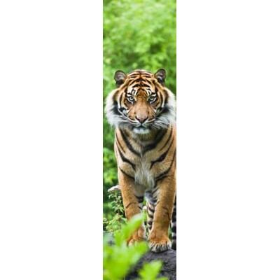 3D bookmark Tiger