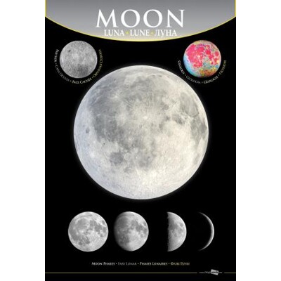 3D Mini Portrait - Moon