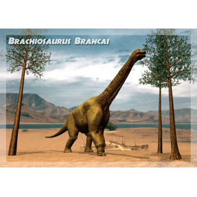 3D postcard Brachiosaurus