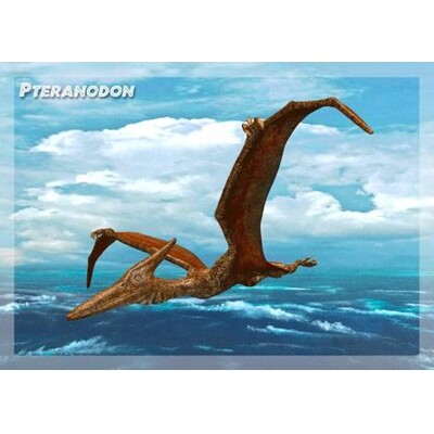 3D postcard Pteranodon D