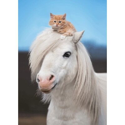 3D postcard Pony & Kitty