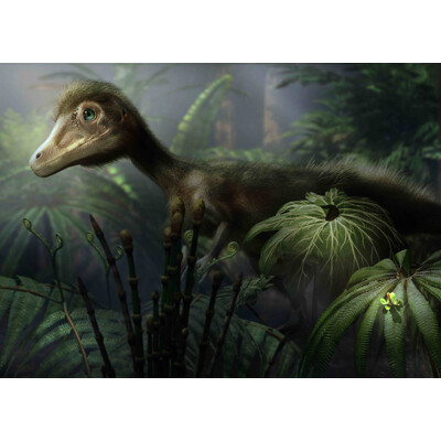 3D postcard Sciurumimus