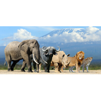 3D panoráma The Big Five