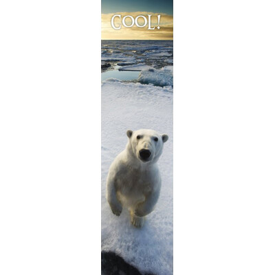 3D bookmark CooL!