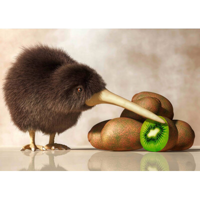 3D postcard Kiwi & Kiwi