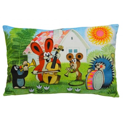 Pillow 45x30cm (The mole with the band)