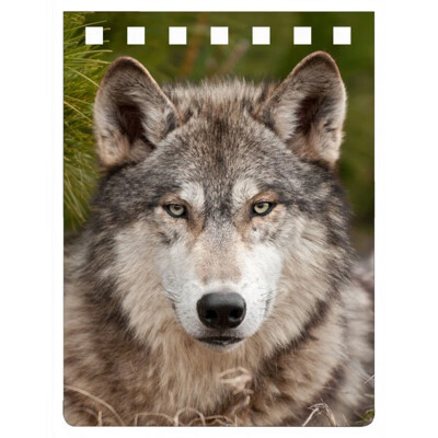 A7 notebook WOLF (Wolf)