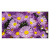 postcard Violet