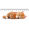 3D ruler DEEP Two ginger kittens