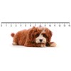 3D ruler DEEP I´am watching you