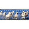 3D ruler DEEP Camarque horses