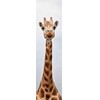 3D bookmark Long neck (Giraffe)
