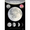 3D Mini Portrait - Moon