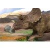 3D postcard Triceratops