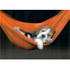 3D postcard Sleeper
