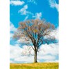 3D postcard Four season