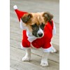 3D postcard Christmas Puppy No.01