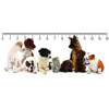 3D ruler DEEP Oops!