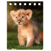 A7 notebook LION PRINCE (Lion prince)
