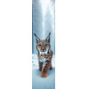 3D bookmark Lynx AI