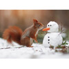 3D postcard Squirrel & Snowman